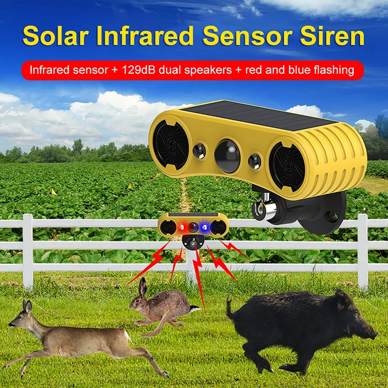 태양광 모션 센서 알람 LED 적색 및 청색 스트로브  - Outdoor Lighting With Motion Sensor 리뷰 및 가격